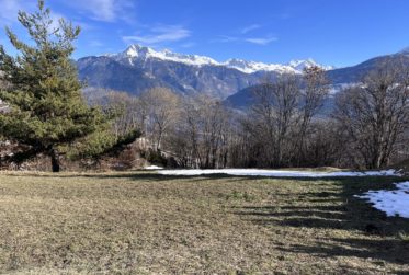 Appartement 3,5 pièces en rez-de-jardin sud-ouest