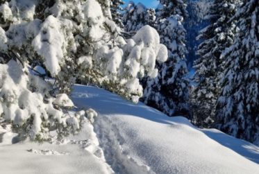 Chalet individuel à Blonay, Les Pléiades. sur 3’000 m² de parcelle