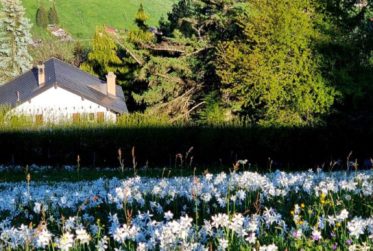 Chalet individuel à Blonay, Les Pléiades. sur 3’000 m² de parcelle