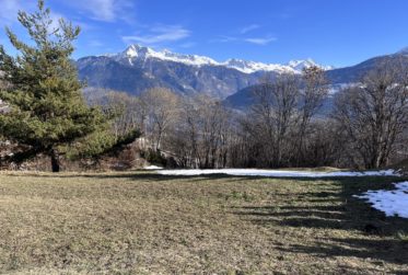 À la Découverte de Montana Village : Appartement 3,5 pièces au 1er étage sud-est