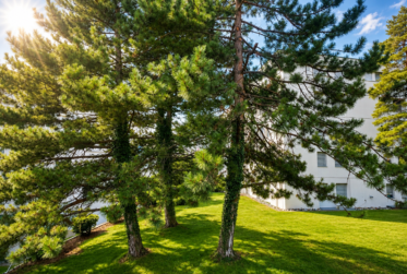 Magnifique appartement moderne 3,5 pièces avec grande terrasse à Sierre